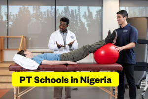 What Is PT School
